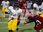 Photo from the gallery "Pine Tree @ Carter"