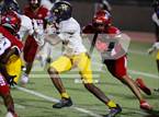 Photo from the gallery "Pine Tree @ Carter"
