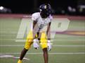 Photo from the gallery "Pine Tree @ Carter"