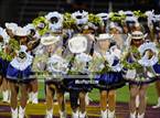 Photo from the gallery "Pine Tree @ Carter"