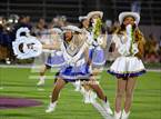 Photo from the gallery "Pine Tree @ Carter"