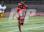 Photo from the gallery "Pine Tree @ Carter"