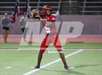 Photo from the gallery "Pine Tree @ Carter"
