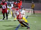 Photo from the gallery "Pine Tree @ Carter"