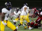 Photo from the gallery "Pine Tree @ Carter"