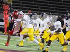 Photo from the gallery "Pine Tree @ Carter"