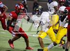 Photo from the gallery "Pine Tree @ Carter"