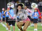 Photo from the gallery "Pine Tree @ Carter"