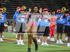 Photo from the gallery "Pine Tree @ Carter"