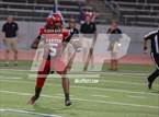 Photo from the gallery "Pine Tree @ Carter"