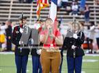 Photo from the gallery "Pine Tree @ Carter"
