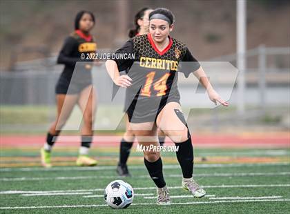 Thumbnail 1 in Cerritos vs. Laguna Hills (Best in the West Winter Soccer Classic) photogallery.
