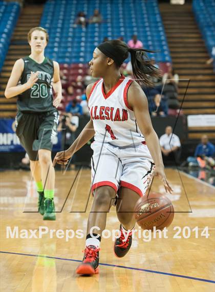 Thumbnail 1 in Miramonte vs. Salesian (CIF NorCal Regional Open Division Final) photogallery.