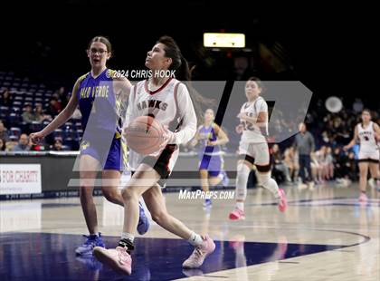Thumbnail 1 in Palo Verde vs Rio Rico (MLK Basketball Classic) photogallery.