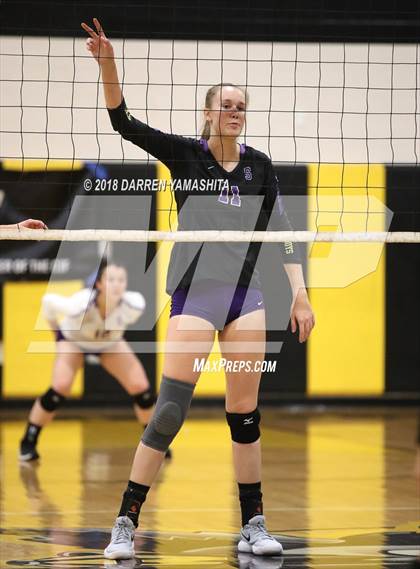 Thumbnail 1 in Salinas vs. Homestead (CIF CCS D1 Final) photogallery.