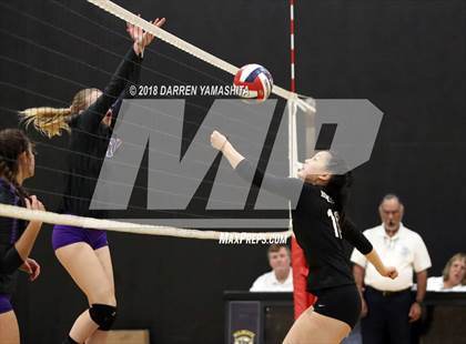 Thumbnail 1 in Salinas vs. Homestead (CIF CCS D1 Final) photogallery.
