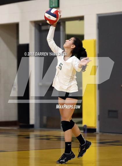 Thumbnail 1 in Salinas vs. Homestead (CIF CCS D1 Final) photogallery.