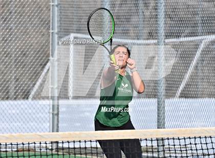 Thumbnail 1 in Bear Creek vs Green Mountain photogallery.