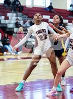 Photo from the gallery "Pine Bush @ Kingston"