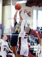 Photo from the gallery "Pine Bush @ Kingston"