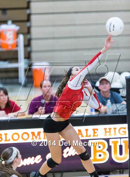 Thumbnail 2 in Riverview @ Bloomingdale photogallery.