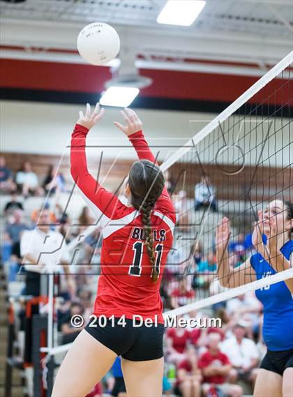 Thumbnail 3 in Riverview @ Bloomingdale photogallery.