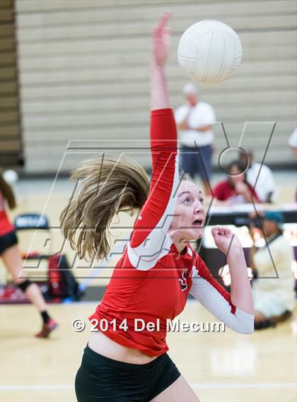 Thumbnail 3 in Riverview @ Bloomingdale photogallery.