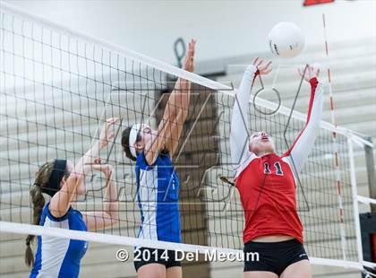 Thumbnail 3 in Riverview @ Bloomingdale photogallery.