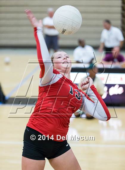 Thumbnail 3 in Riverview @ Bloomingdale photogallery.