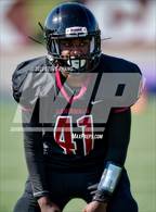 Photo from the gallery "West Park @ Laguna Creek"