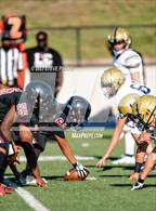 Photo from the gallery "West Park @ Laguna Creek"