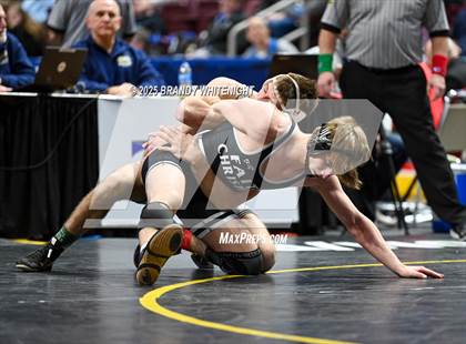 Thumbnail 3 in PIAA Boys AA/AAA Wrestling Championship photogallery.