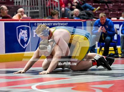 Thumbnail 1 in PIAA Boys AA/AAA Wrestling Championship photogallery.
