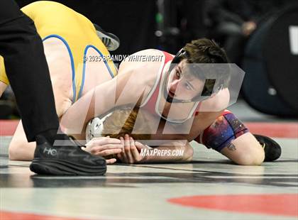 Thumbnail 3 in PIAA Boys AA/AAA Wrestling Championship photogallery.