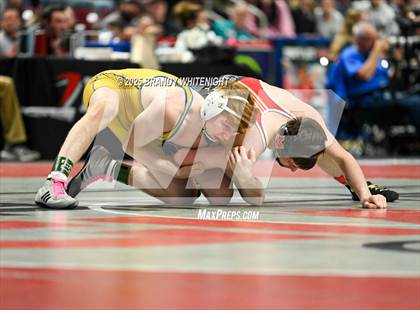 Thumbnail 1 in PIAA Boys AA/AAA Wrestling Championship photogallery.