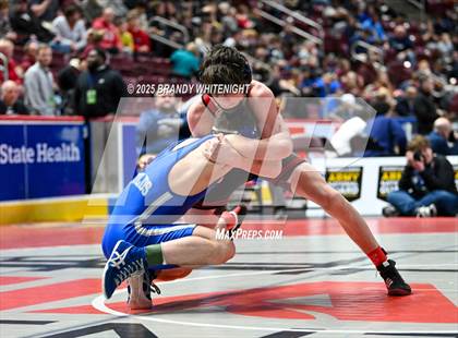 Thumbnail 3 in PIAA Boys AA/AAA Wrestling Championship photogallery.