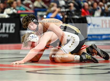 Thumbnail 3 in PIAA Boys AA/AAA Wrestling Championship photogallery.
