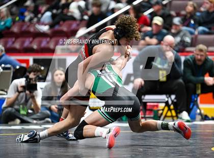Thumbnail 3 in PIAA Boys AA/AAA Wrestling Championship photogallery.