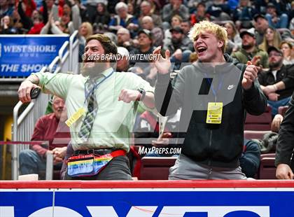 Thumbnail 3 in PIAA Boys AA/AAA Wrestling Championship photogallery.