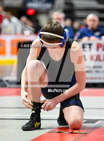 Thumbnail 3 in PIAA Boys AA/AAA Wrestling Championship photogallery.
