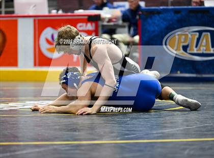 Thumbnail 2 in PIAA Boys AA/AAA Wrestling Championship photogallery.