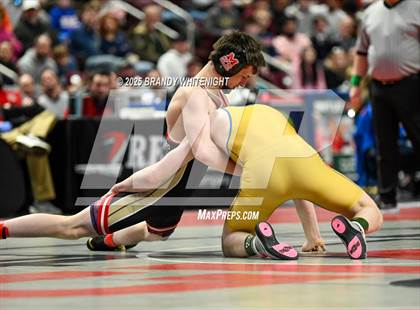 Thumbnail 2 in PIAA Boys AA/AAA Wrestling Championship photogallery.
