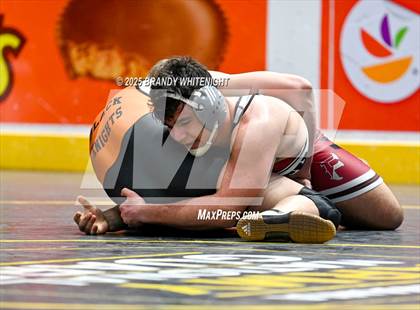 Thumbnail 3 in PIAA Boys AA/AAA Wrestling Championship photogallery.