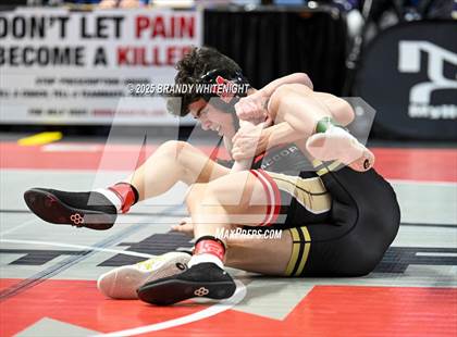 Thumbnail 1 in PIAA Boys AA/AAA Wrestling Championship photogallery.