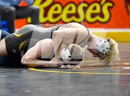 Thumbnail 1 in PIAA Boys AA/AAA Wrestling Championship photogallery.