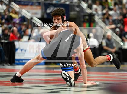 Thumbnail 3 in PIAA Boys AA/AAA Wrestling Championship photogallery.