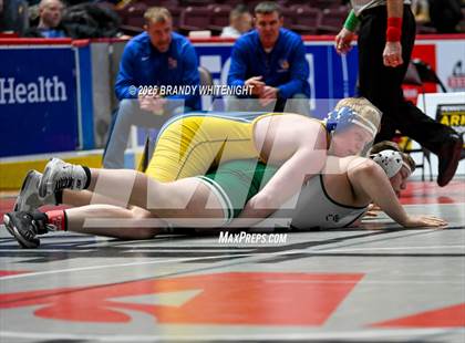 Thumbnail 2 in PIAA Boys AA/AAA Wrestling Championship photogallery.