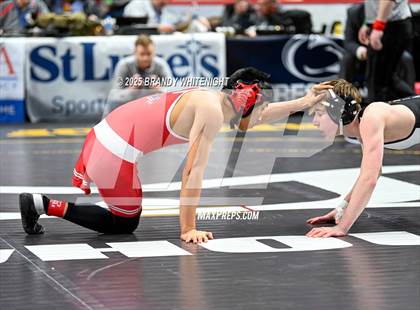Thumbnail 2 in PIAA Boys AA/AAA Wrestling Championship photogallery.