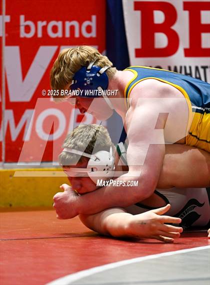 Thumbnail 3 in PIAA Boys AA/AAA Wrestling Championship photogallery.
