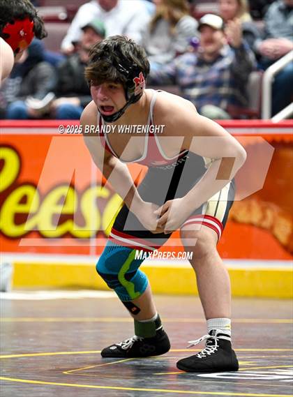 Thumbnail 2 in PIAA Boys AA/AAA Wrestling Championship photogallery.